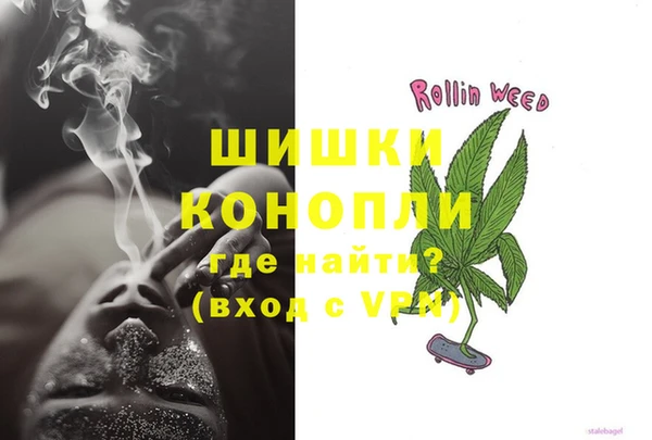 соль ск Ельня