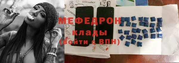 соль ск Ельня
