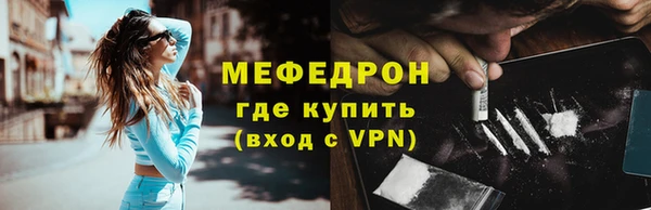 соль ск Ельня