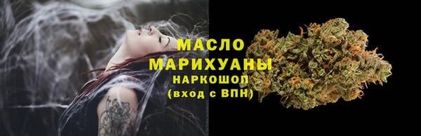 соль ск Ельня