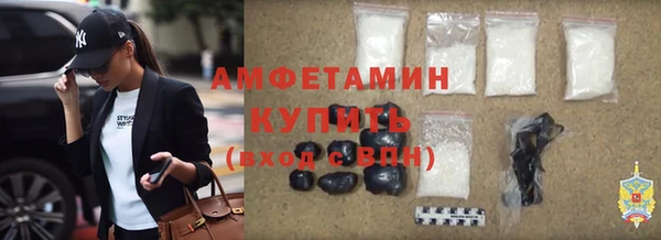 соль ск Ельня