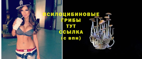соль ск Ельня
