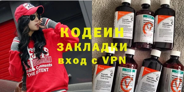соль ск Ельня