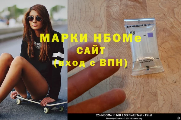 соль ск Ельня