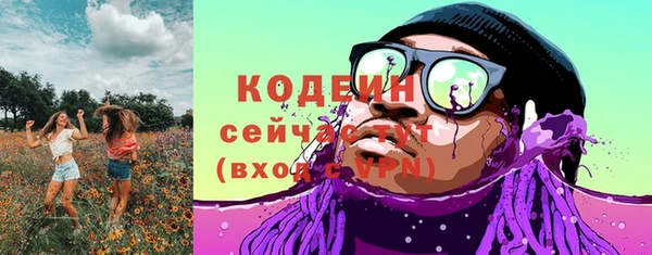 соль ск Ельня