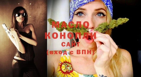 соль ск Ельня