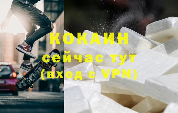 соль ск Ельня