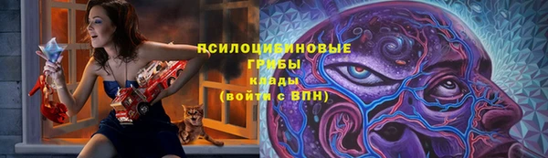 соль ск Ельня