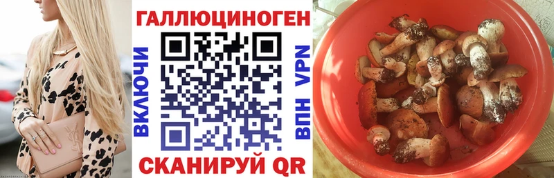 Галлюциногенные грибы MAGIC MUSHROOMS Купить закладки Бежецк